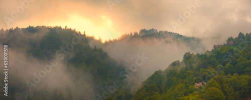 Fog covering on the mountain forest at sunset - Rize, Turkey