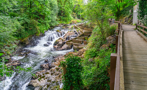 Tumwater Falls Park Path 2 photo