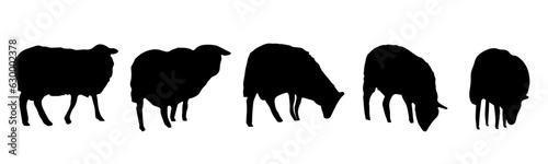Group of sheeps, flock.  Silhouette. Vector illustration.
