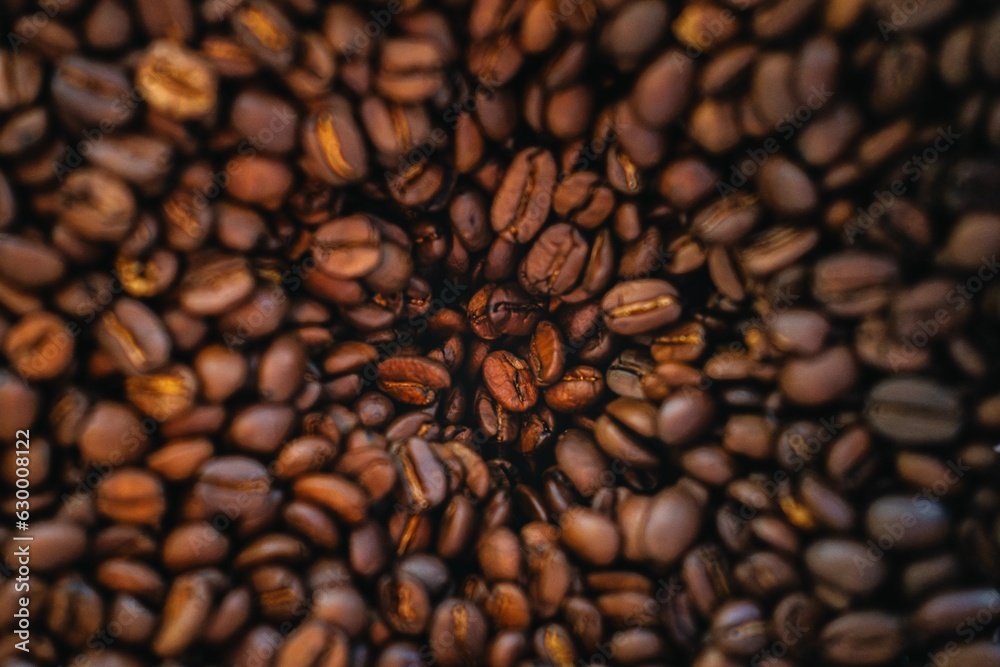 Naklejka premium Selection of coffee beans arranged in a container on display