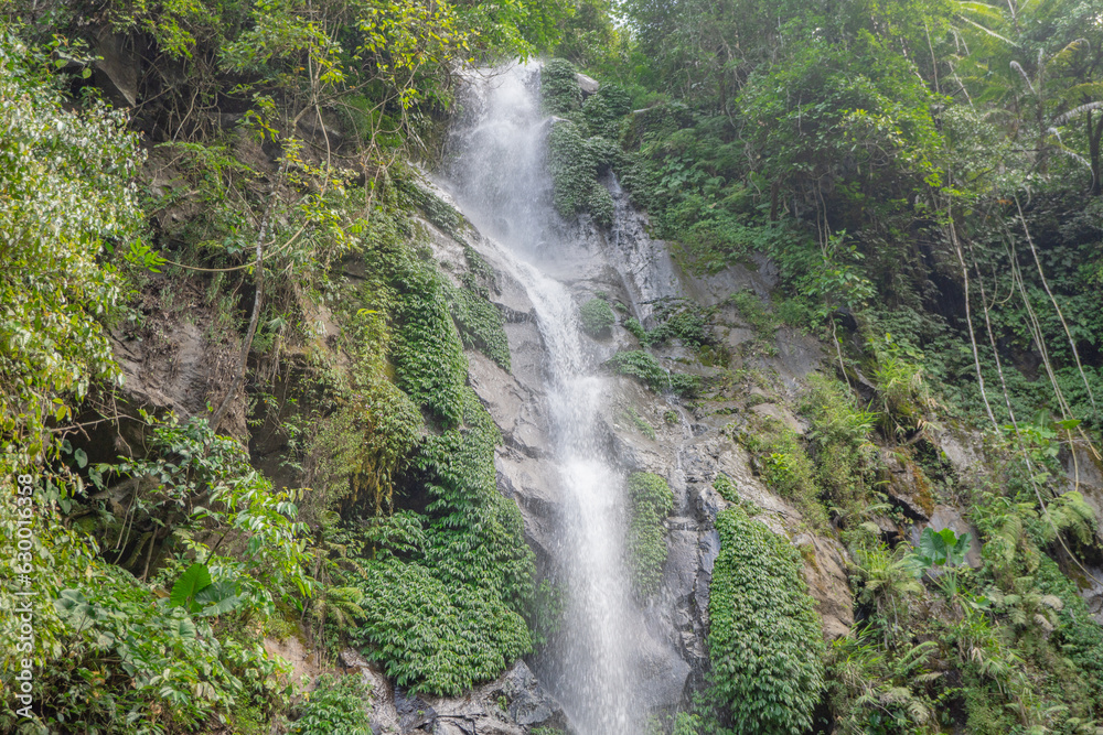 Small water fall on the tropical forest when rain season. The photo is suitable to use for adventure content media, nature poster and forest background. Small water fall on the tropical forest when rain season. The photo is suitable to use for adventure content media, nature poster and forest background.