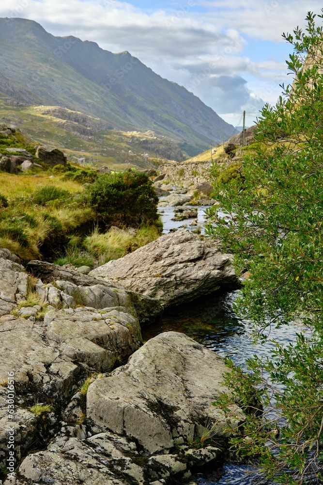 Vertical shot of a stream surrounded by rocks and greenery in the countryside