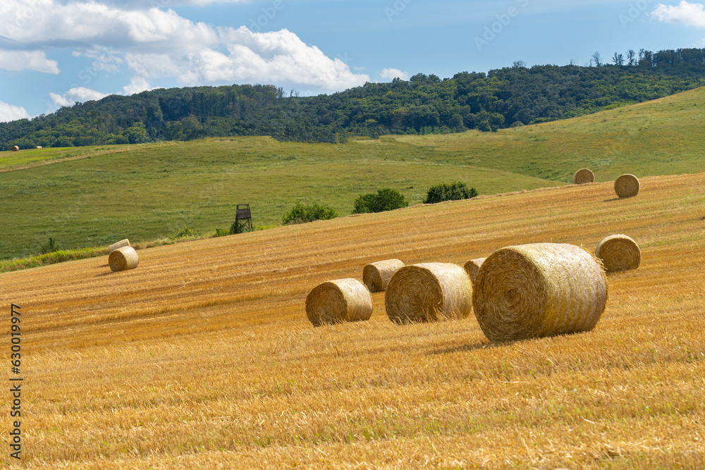Fototapeta premium Straw bales in the summer sun on a hillside in Hungary.