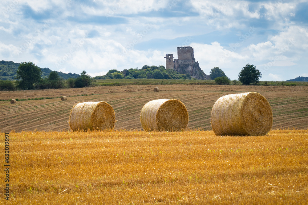 Straw bales in the summer sun on a hillside in Hungary with a castle ruin in the background