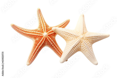 Two different white starfish isolated white background PNG © JetHuynh