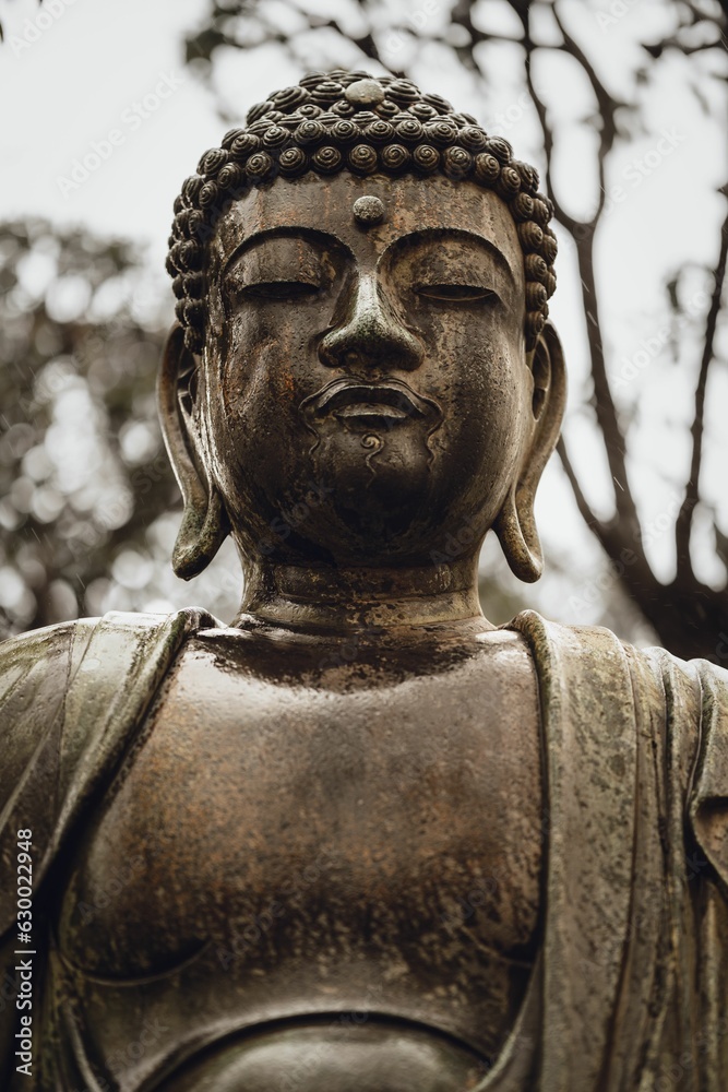 a statue of buddha seated in front of trees with a cloudy sky in the background