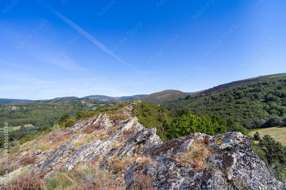 Landscape of trees and blue sky with rocks in foreground.