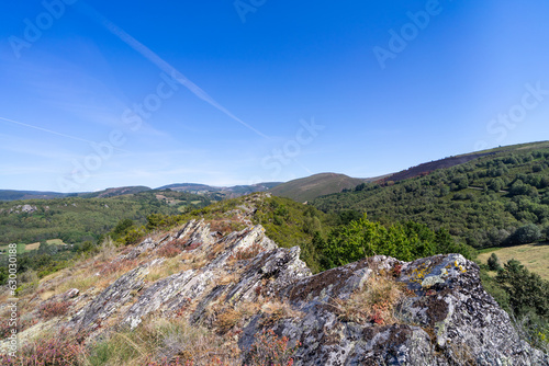 Landscape of trees and blue sky with rocks in foreground.