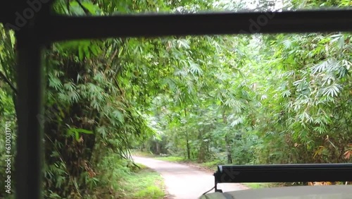 Car traveling up the mountain Passing through a natural path with a stream, a difficult road, full of trees on both sides of the road. The rainy atmosphere. POV driving. 