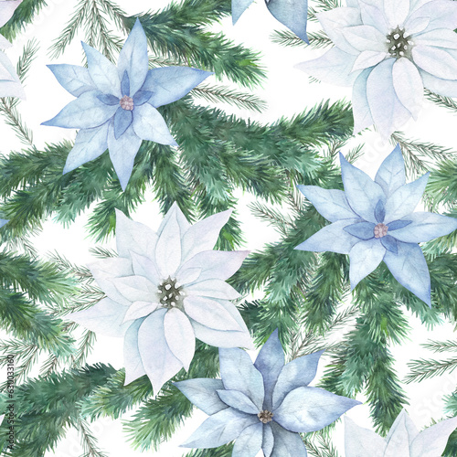Christmas watercolor pattern with green spruce tree branches and blue poinsettia. Winter nature seamless print. Hand drawn illustration on white background
