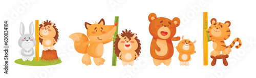 Funny Animals Measuring and Comparing Heights Vector Set