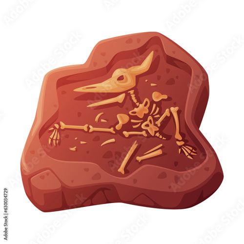 Fossil Obtained by Digging Rested in Soil or Ground Vector Illustration