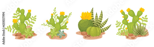 Cacti and Succulent Green Plant Growing in Desert Vector Set