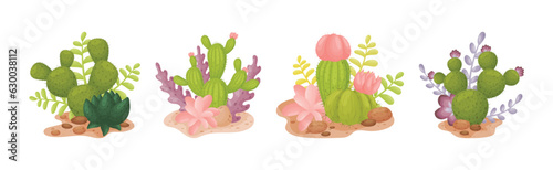 Cacti and Succulent Green Plant Growing in Desert Vector Set