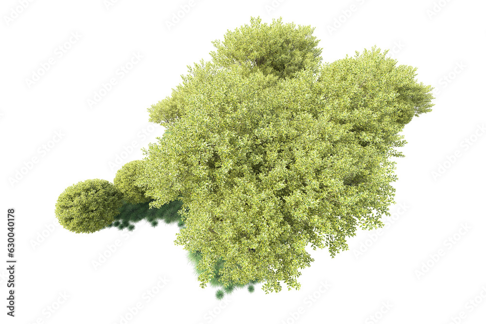 Fototapeta premium Green landscape isolated on transparent background. 3d rendering - illustration