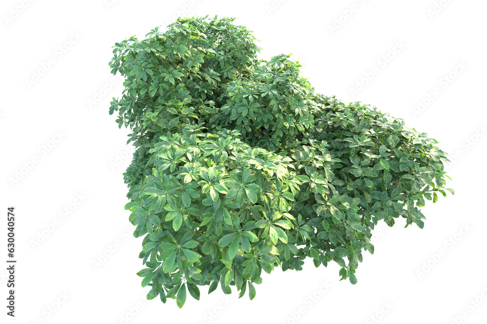Green landscape isolated on transparent background. 3d rendering - illustration Green landscape isolated on transparent background. 3d rendering - illustration