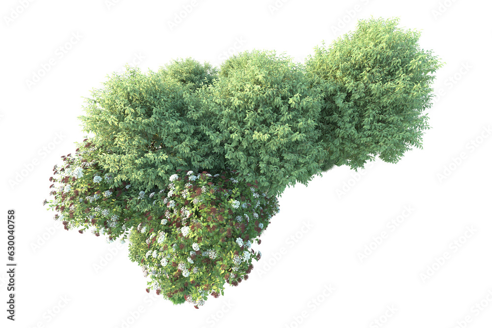 Obraz premium Green landscape isolated on transparent background. 3d rendering - illustration