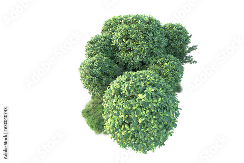 Green landscape isolated on transparent background. 3d rendering - illustration