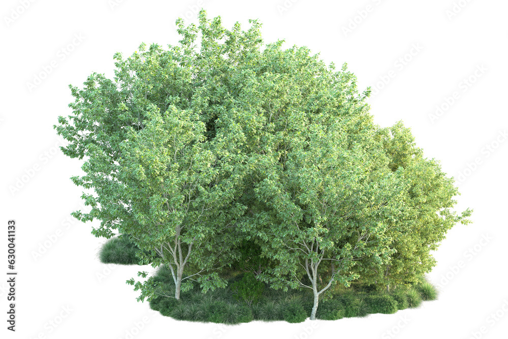 Fototapeta premium Green landscape isolated on transparent background. 3d rendering - illustration