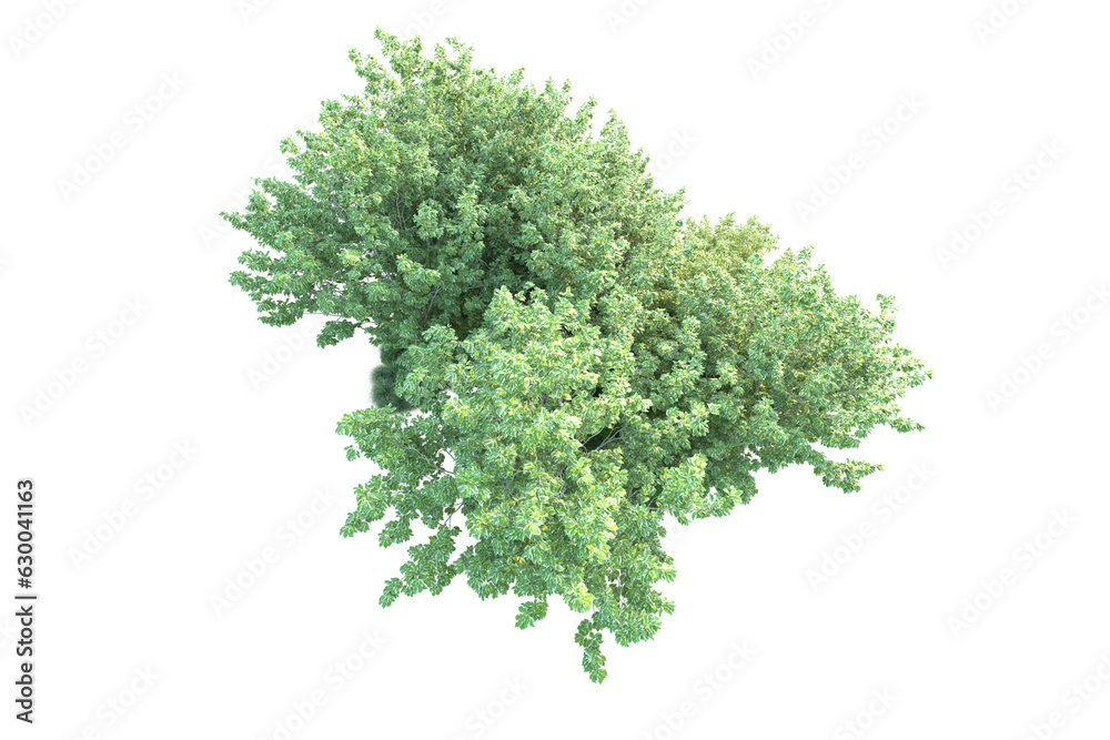 Obraz premium Green landscape isolated on transparent background. 3d rendering - illustration