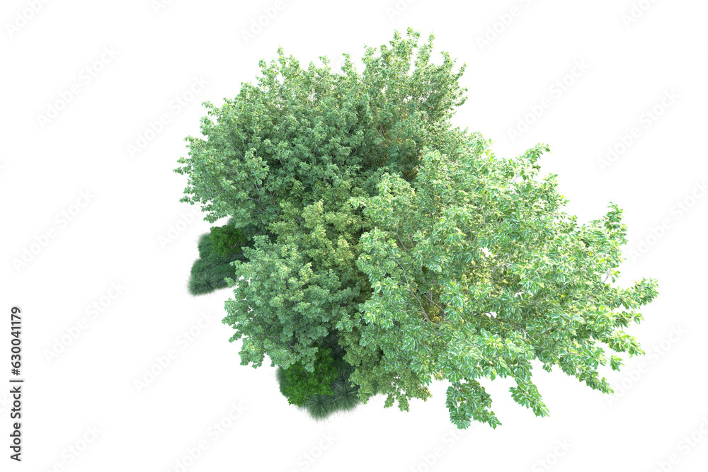 Obraz premium Green landscape isolated on transparent background. 3d rendering - illustration
