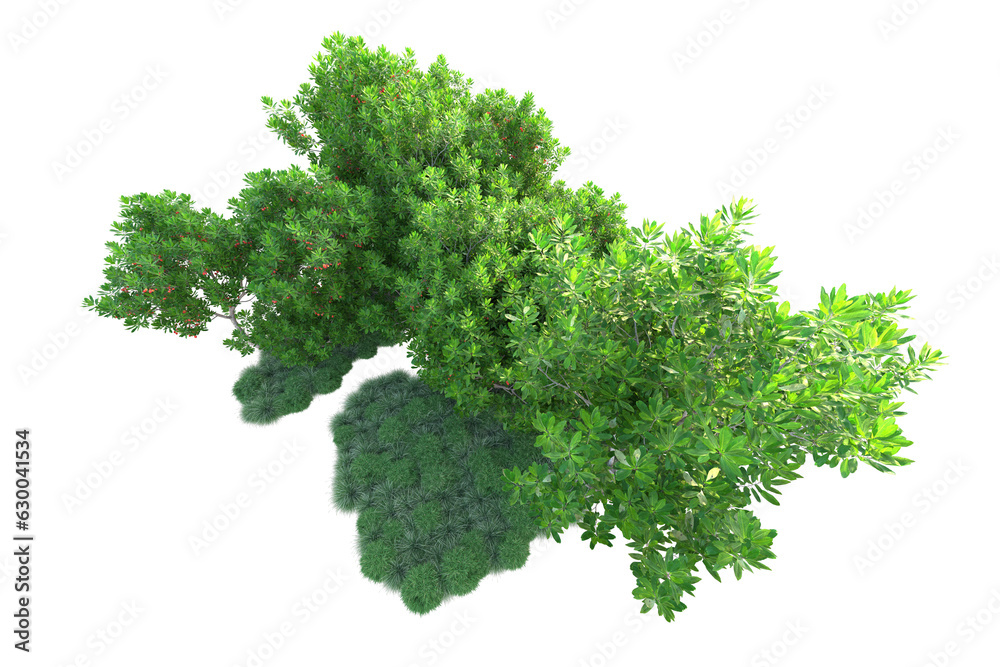 Obraz premium Green landscape isolated on transparent background. 3d rendering - illustration