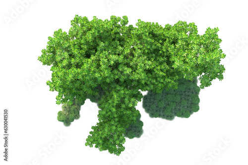 Green landscape isolated on transparent background. 3d rendering - illustration