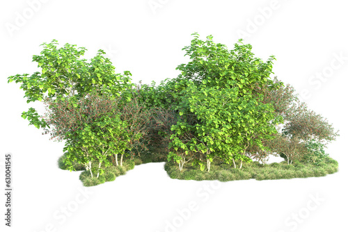 Green landscape isolated on transparent background. 3d rendering - illustration