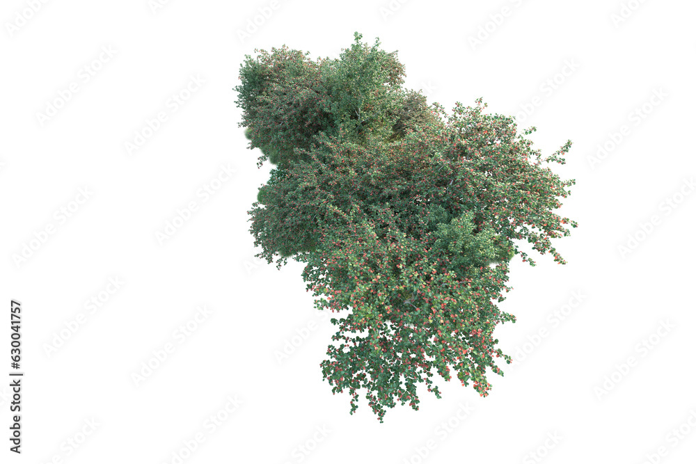 Green landscape isolated on transparent background. 3d rendering - illustration Green landscape isolated on transparent background. 3d rendering - illustration