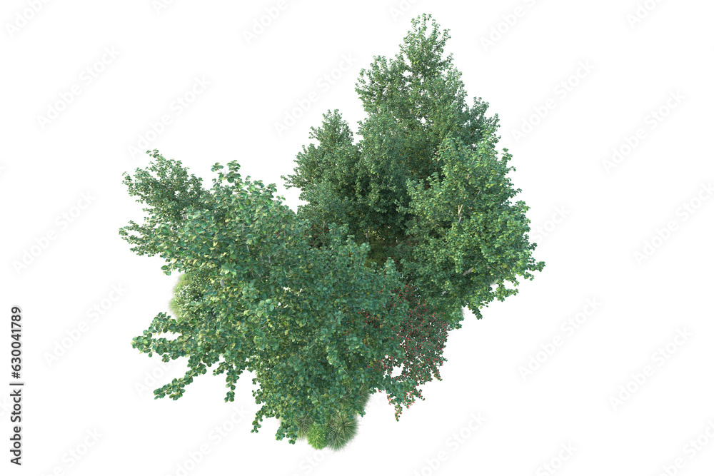 Fototapeta premium Green landscape isolated on transparent background. 3d rendering - illustration