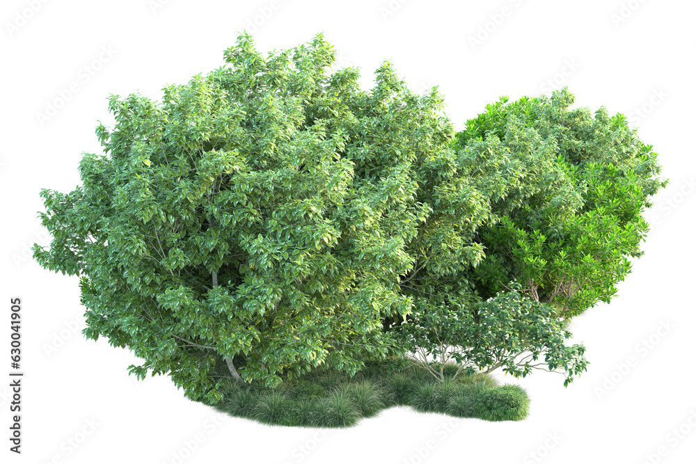 Fototapeta premium Green landscape isolated on transparent background. 3d rendering - illustration