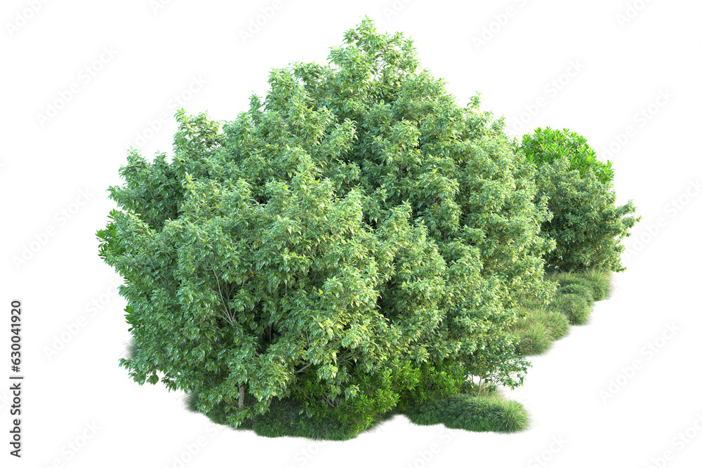 Green landscape isolated on transparent background. 3d rendering - illustration Green landscape isolated on transparent background. 3d rendering - illustration
