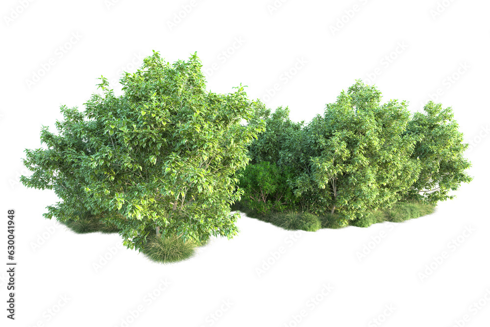 Obraz premium Green landscape isolated on transparent background. 3d rendering - illustration