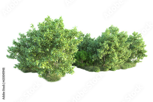 Green landscape isolated on transparent background. 3d rendering - illustration