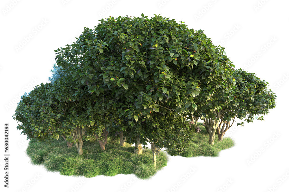 Fototapeta premium Green landscape isolated on transparent background. 3d rendering - illustration