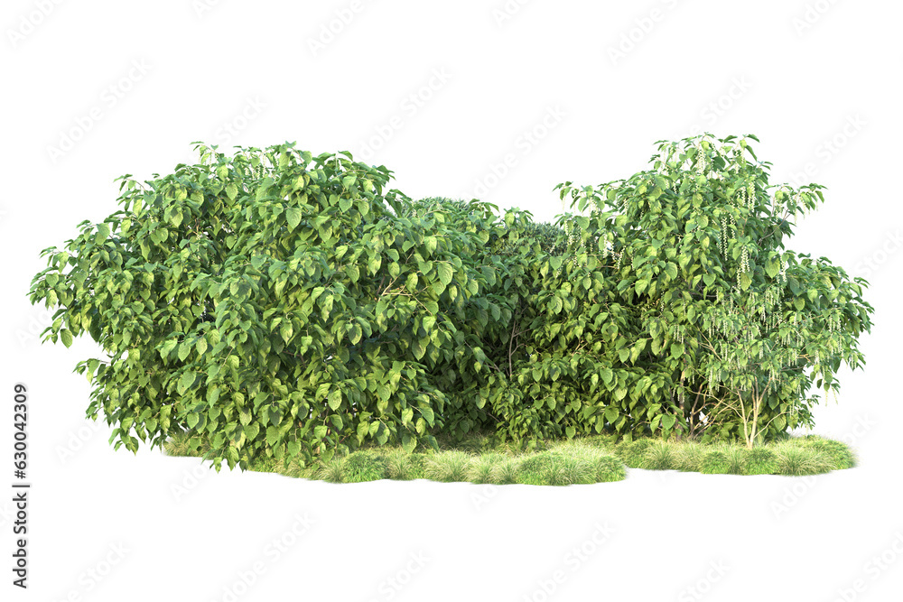 Obraz premium Green landscape isolated on transparent background. 3d rendering - illustration