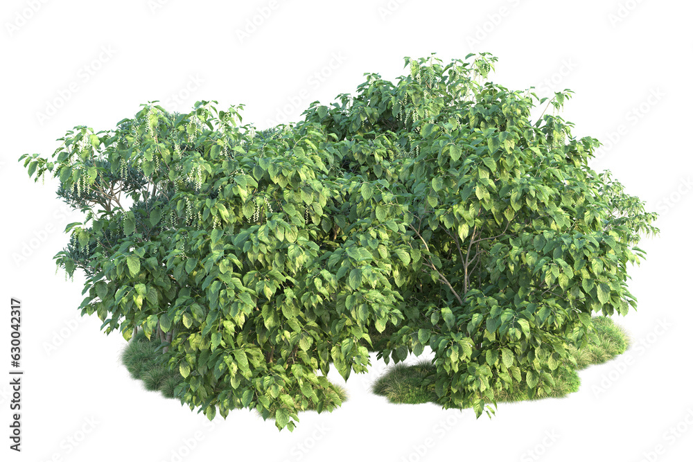 Obraz premium Green landscape isolated on transparent background. 3d rendering - illustration