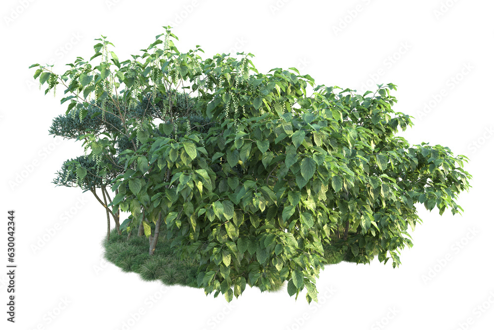Obraz premium Green landscape isolated on transparent background. 3d rendering - illustration