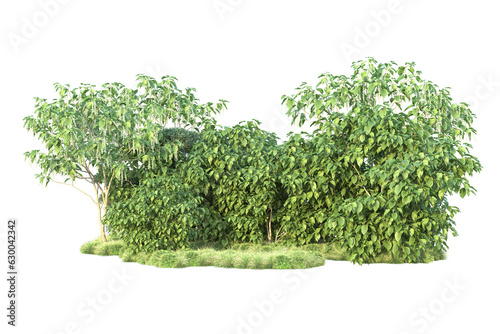 Green landscape isolated on transparent background. 3d rendering - illustration