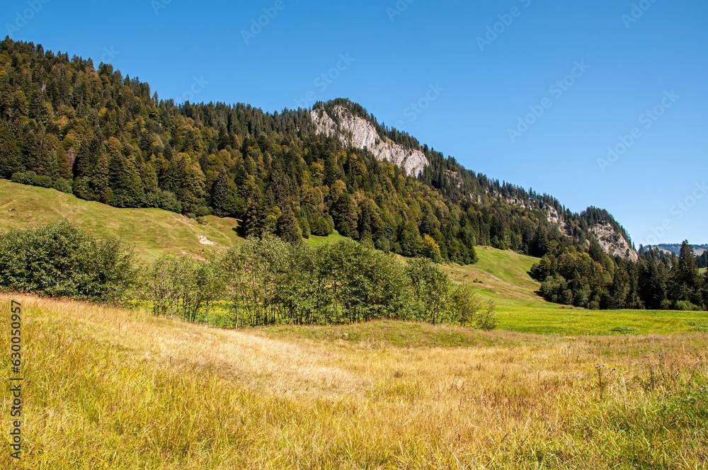 landscape in the mountains landscape in the mountains