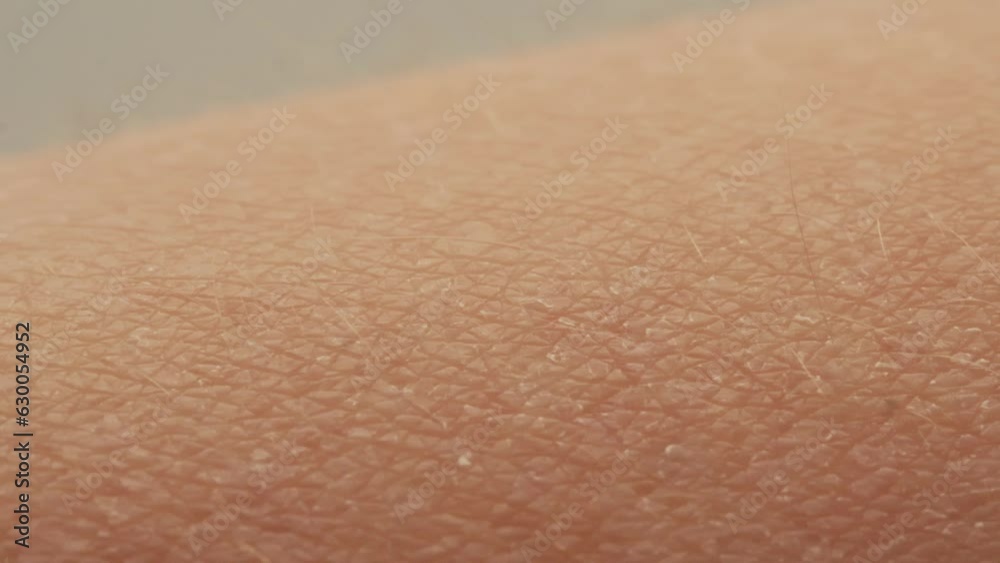 Hand surface with hair close-up. Human skin reaction to cold or fear, arm on black background, static electricity. 