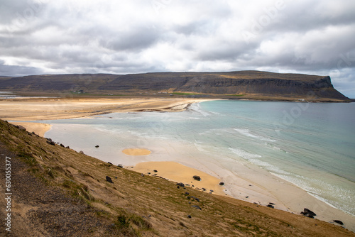 View of a yellow sand beach in Iceland