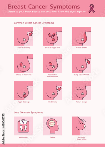 Understanding Breast Cancer Symptoms, A Visual Infographic for Women Health Awareness, Vector Flat Design Template Illustration