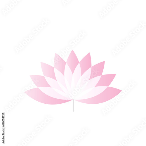 pink lotus flower