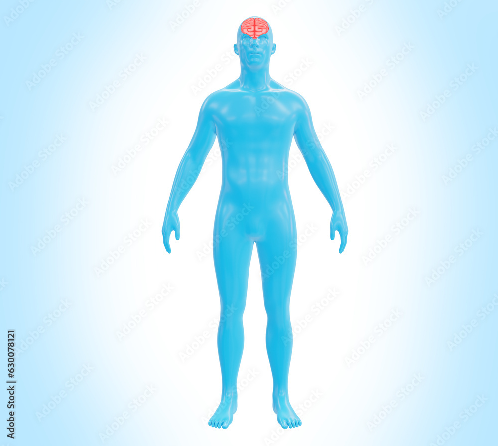 Embark on a captivating journey through a futuristic full body scan with a mesmerizing brain 3D render. Explore the intricacies of human anatomy in this stunning medical illustration. 3d rendering Embark on a captivating journey through a futuristic full body scan with a mesmerizing brain 3D render. Explore the intricacies of human anatomy in this stunning medical illustration. 3d rendering