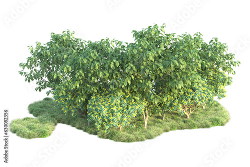 Green landscape isolated on transparent background. 3d rendering - illustration