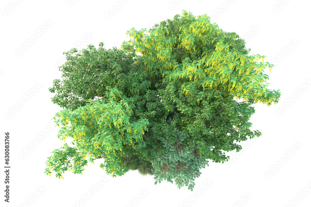 Obraz premium Green landscape isolated on transparent background. 3d rendering - illustration