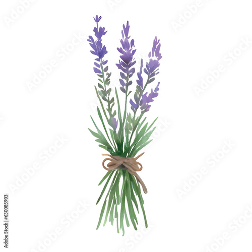 lavender watercolor on white background