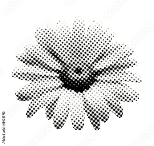 white daisy flower chamomile isolated halftone vintage dots texture cut-out retro magazine style collage element for mixed media grunge design