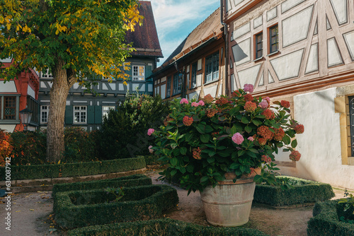 Fototapeta Naklejka Na Ścianę i Meble -  Beautiful Garden and Old National German Half-Timbered houses Town House in Bietigheim-Bissingen, Baden-Wuerttemberg, Germany, Europe. Old Town is full of colorful and well preserved buildings.